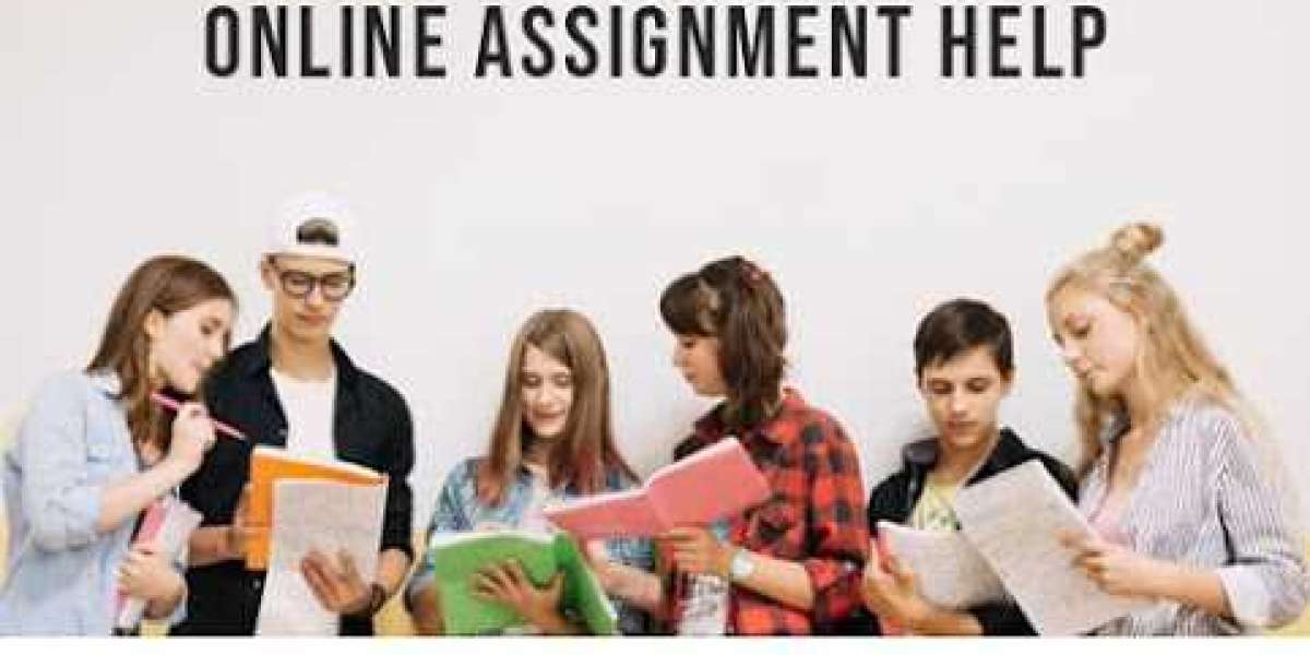 Why do students choose Assignment help?
