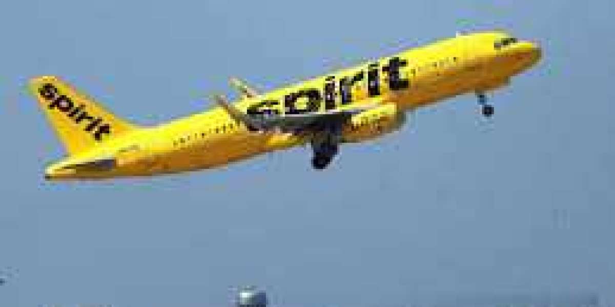 How To Get A Free Spirit Airlines Ticket
