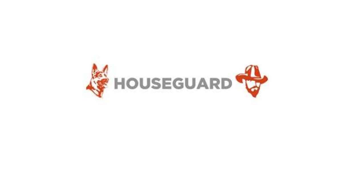 Quick and Effective Termite Inspection Services by Houseguard