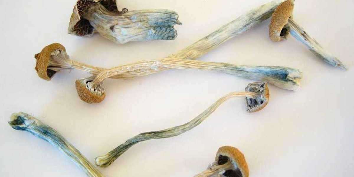 Effects Of Dried Magic Mushrooms