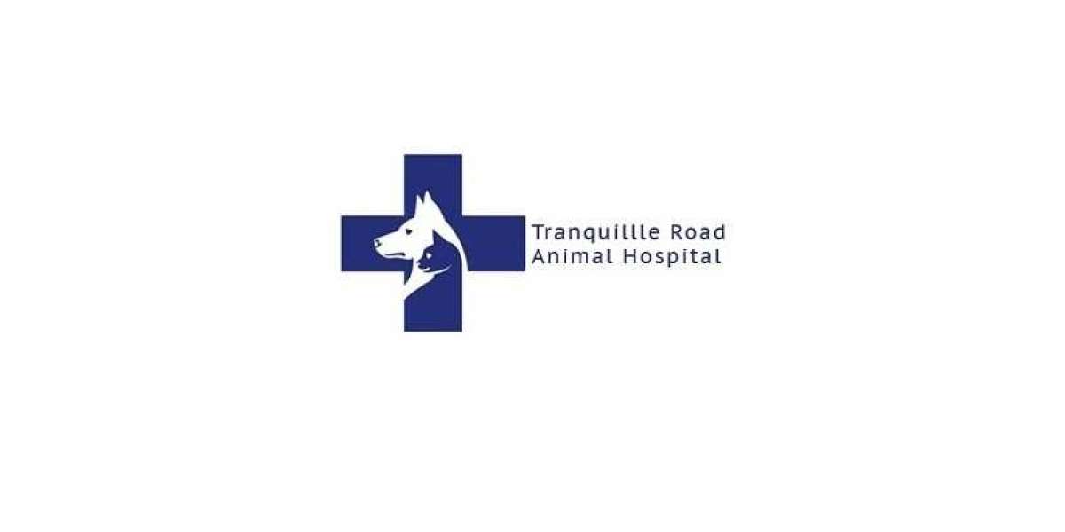The Best Animal Care by Road Animal Hospital