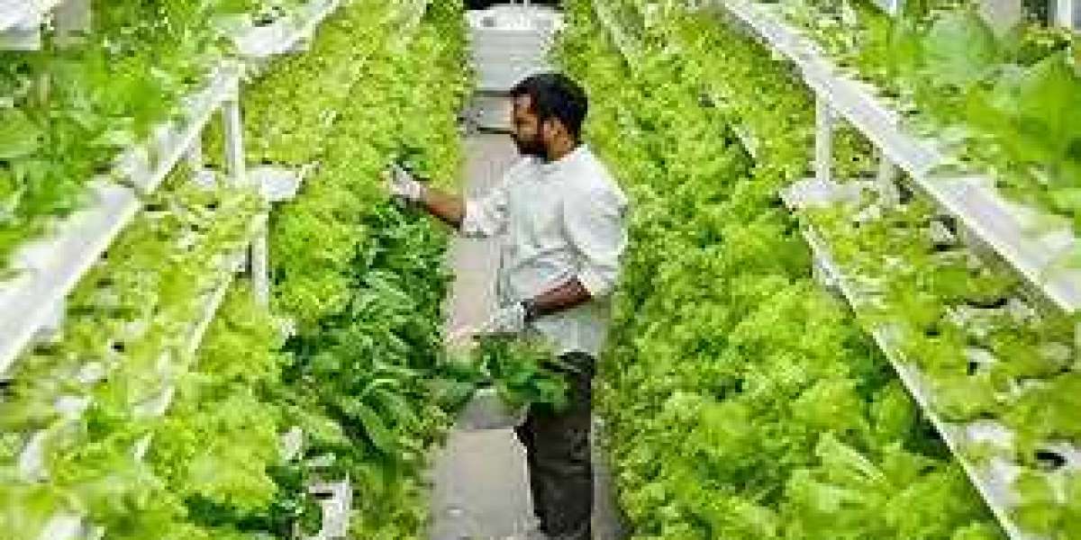Global Vertical Farming Market is expected to expand at a CAGR of more than 21.5% in 2027