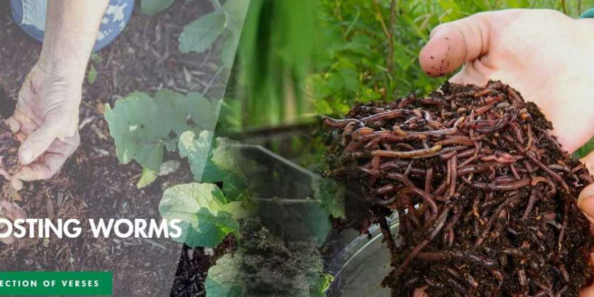 Your Ultimate Guide on Composting Worms