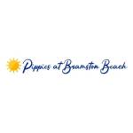 Pippies at Bramston Beach profile picture