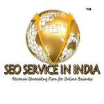 SEO Service In India Profile Picture