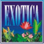 Exoticabeachcottages Profile Picture