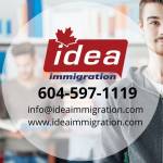 ideaimmigration Profile Picture